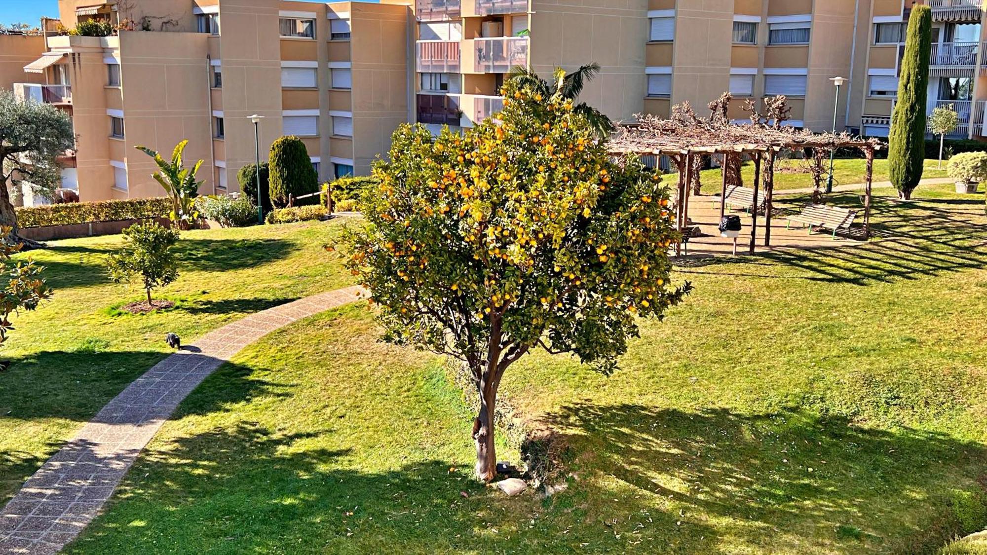 Appartement Le Cote Et Nice
